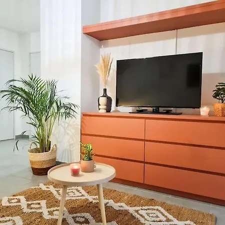 Daire Avec Parking Prive Et Terrasse Proche Nice/monaco *
